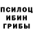 Галлюциногенные грибы GOLDEN TEACHER outdoors lifestyle