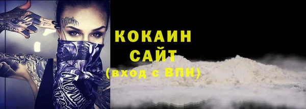 прущие грибы Беломорск