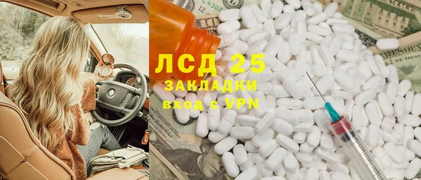 прущие грибы Беломорск
