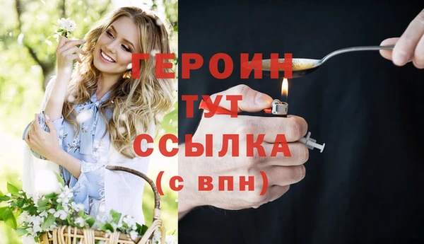 прущие грибы Беломорск