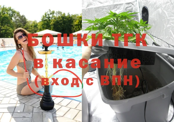 прущие грибы Беломорск